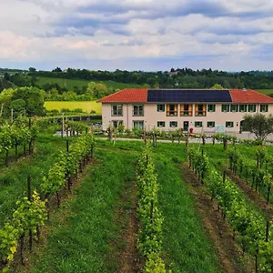 Tenuta Mani Sagge San Pietro Di Feletto
